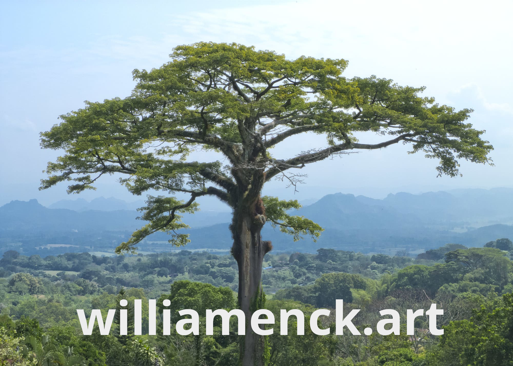 William Enckhausen - español