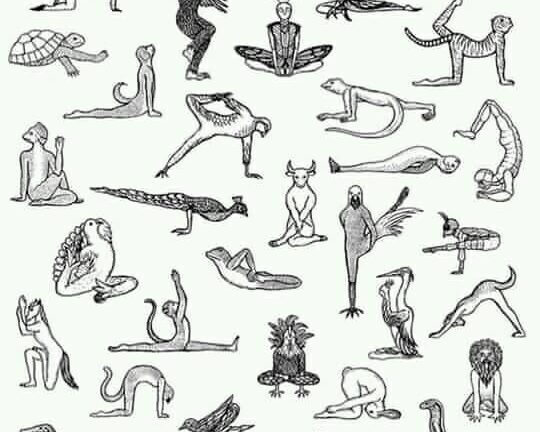 Asana, Ethics And Evolution